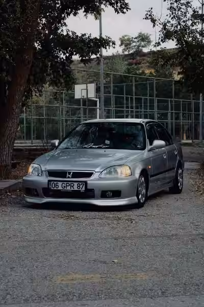 Oppdag Blomstertyper: En Forbløffende Mangfold