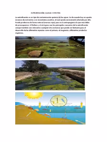 Eutrofiering: Når Overflod Blir Et Problem