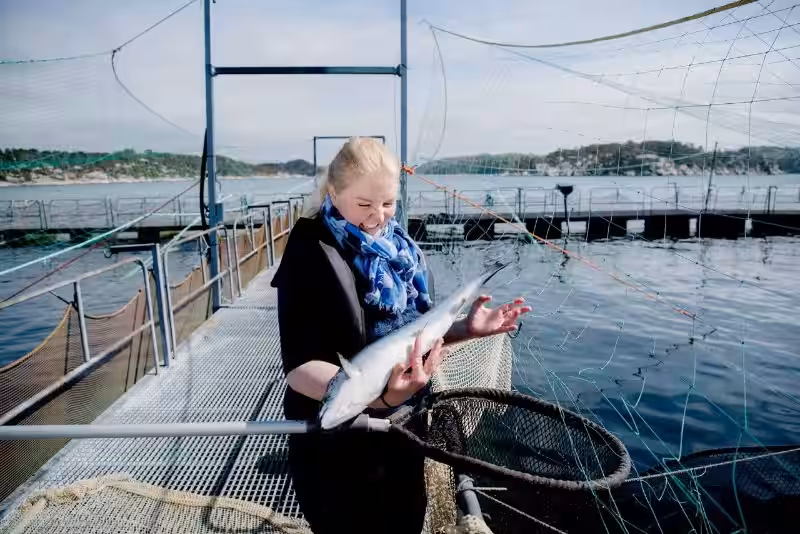 Fiskeoppdrett: Veien mot en bærekraftig fremtid