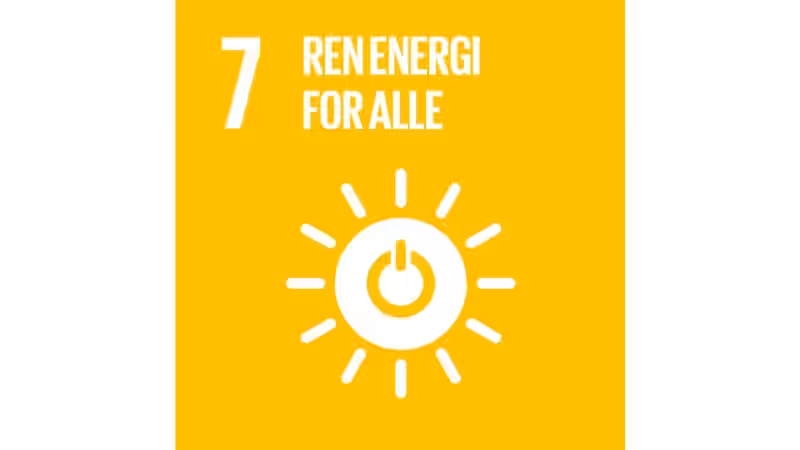 fns-baerekraftsmal-3