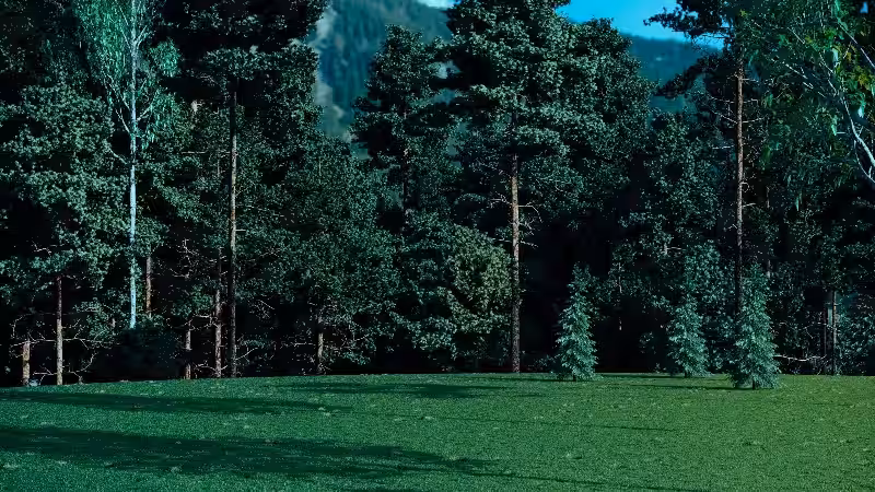 Gravannstank Hytte: En Guide til Økt Komfort og Miljøvennlig Avløpshåndtering Gravannstank Hytte: En Guide til Økt Komfort og Miljøvennlig Avløpshåndtering