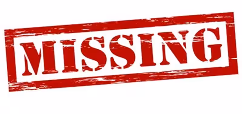 Hvordan virker en solcelle? En enkel forklaring