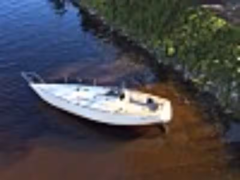 Levere bil til vraking: En komplett guide