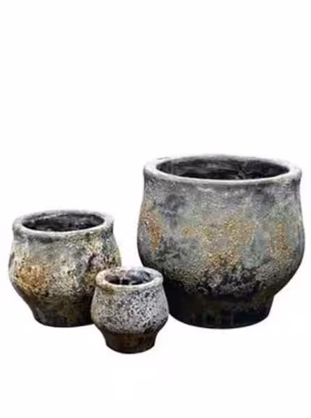 Planters Navn: En Guide til Botanisk Nomenklatur