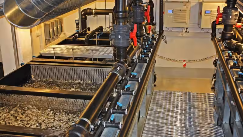 Ras Anlegg Norge: En voksende sektor